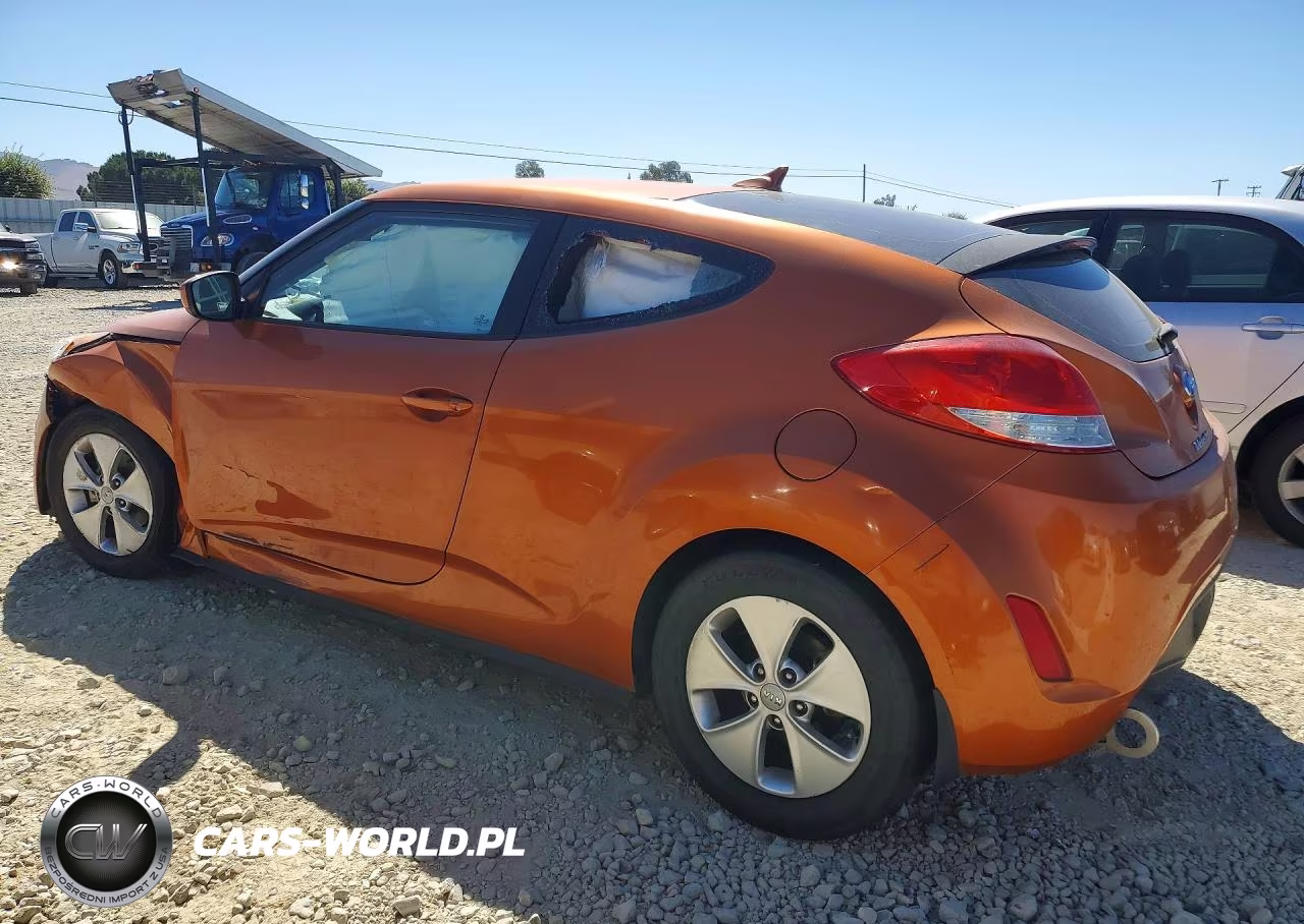 2013 Hyundai Veloster Base W-Black VIN:KMHTC6AD3DU133404 - 2