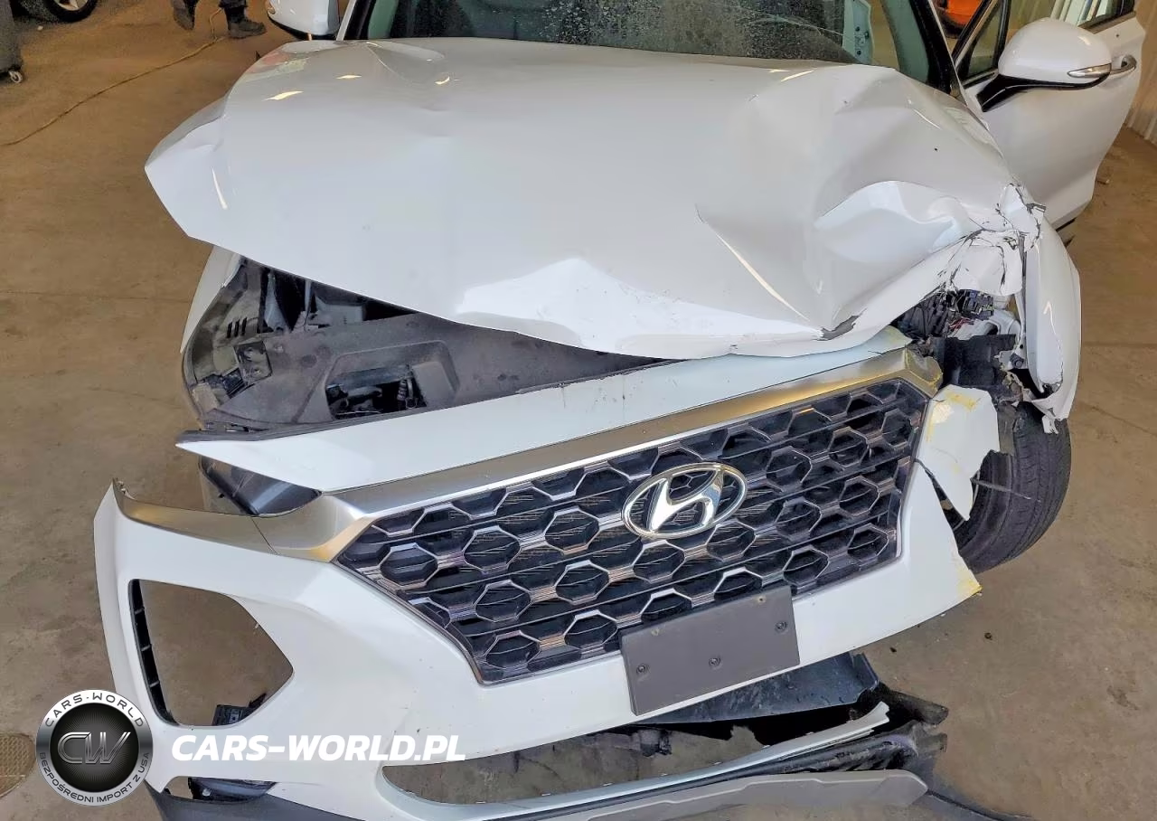2020 Hyundai Santa Fe Sel VIN:5NMS3CAD1LH275514 - 12
