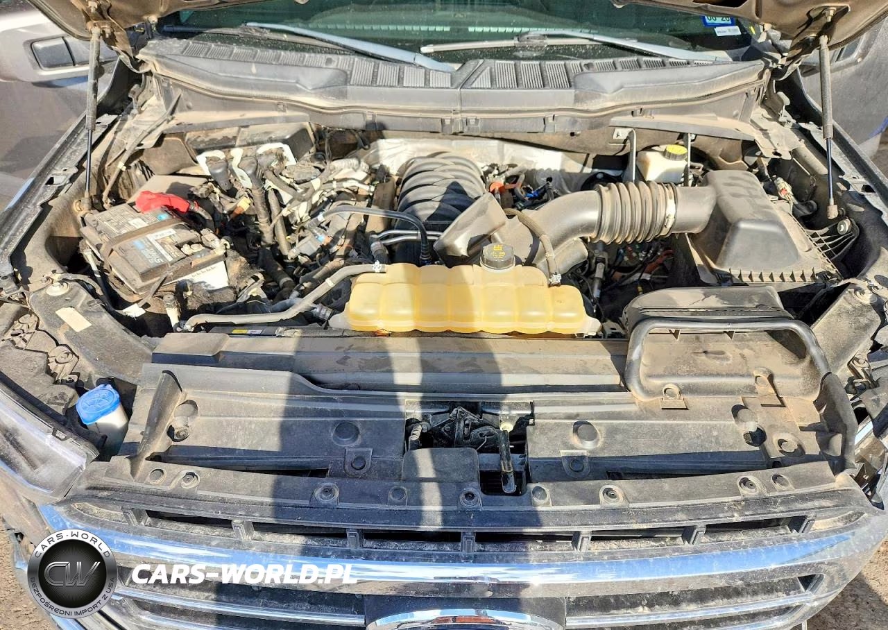 2021 Ford F150 Supercrew VIN:1FTFW1E54MFB69718 - 11
