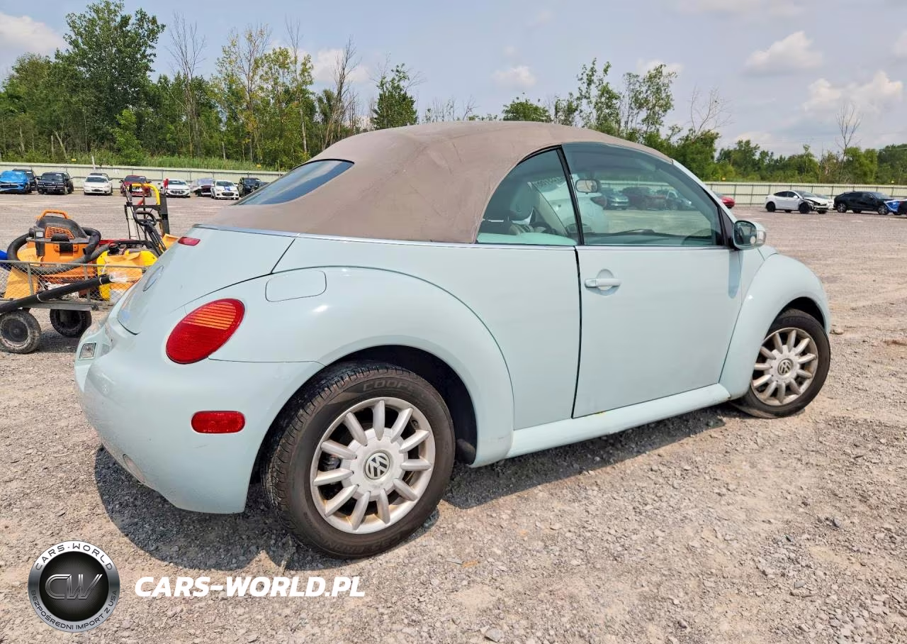 2004 Volkswagen New Beetle Gls VIN:3VWCM31Y64M352698 - 3