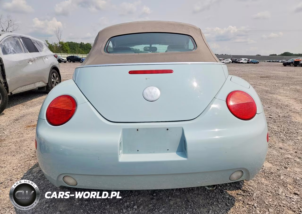 2004 Volkswagen New Beetle Gls VIN:3VWCM31Y64M352698 - 6