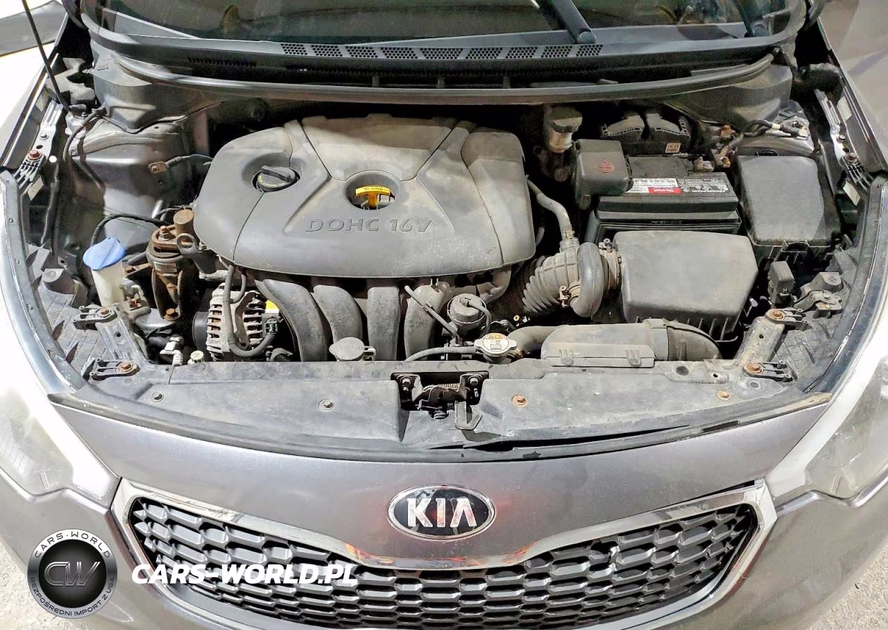 2016 Kia Forte Lx VIN:KNAFX4A62G5500963 - 11