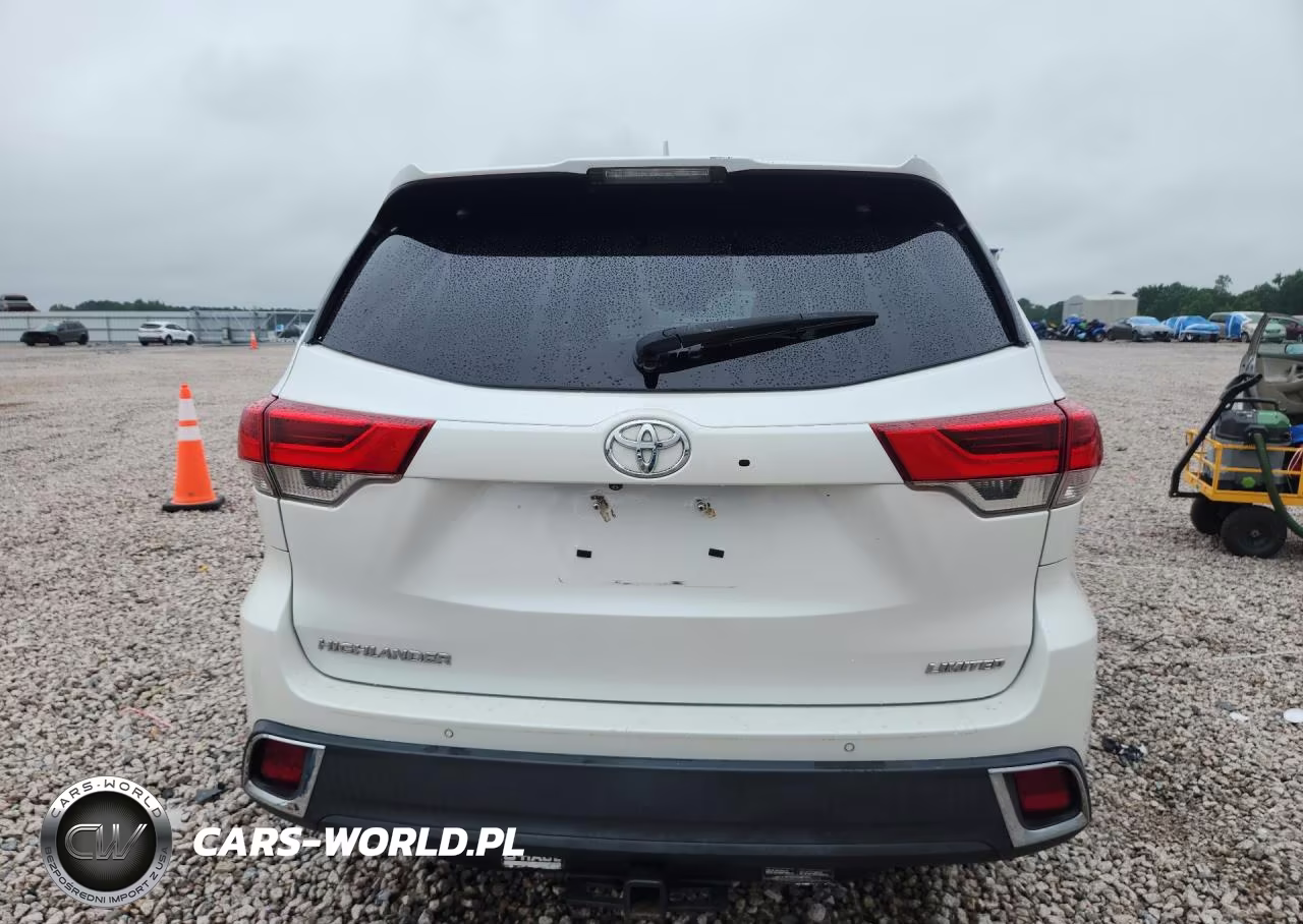 2019 Toyota Highlander Limited VIN:5TDYZRFH0KS345135 - 6