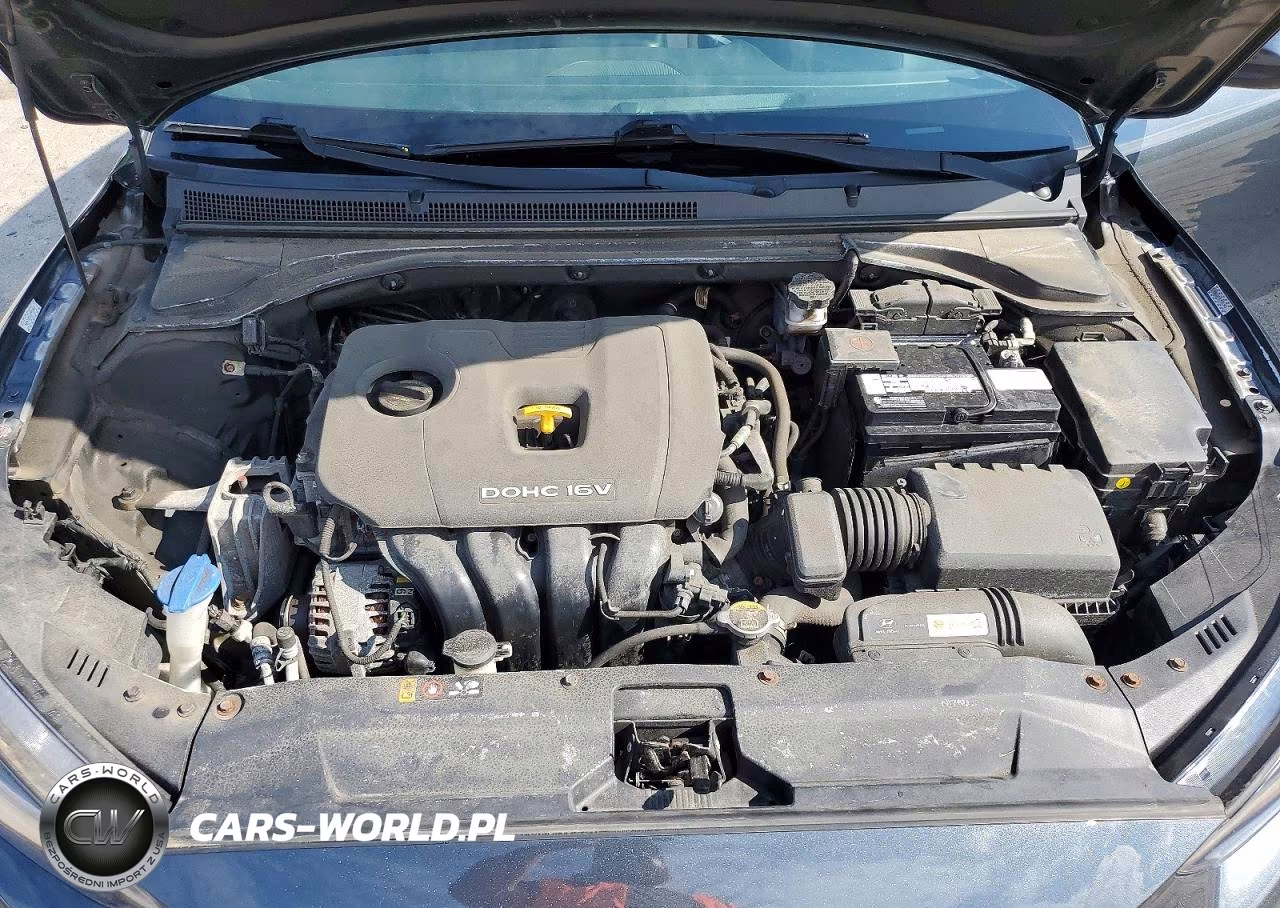 2019 Hyundai Veloster 2.0L VIN:KMHTG6AF8KU014489 - 11