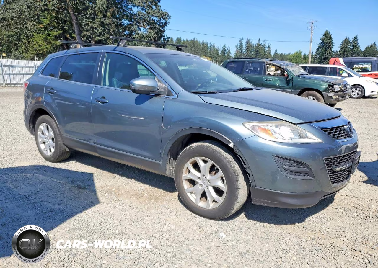 2011 Mazda Cx-9 VIN:JM3TB3CVXB0332909 - 4