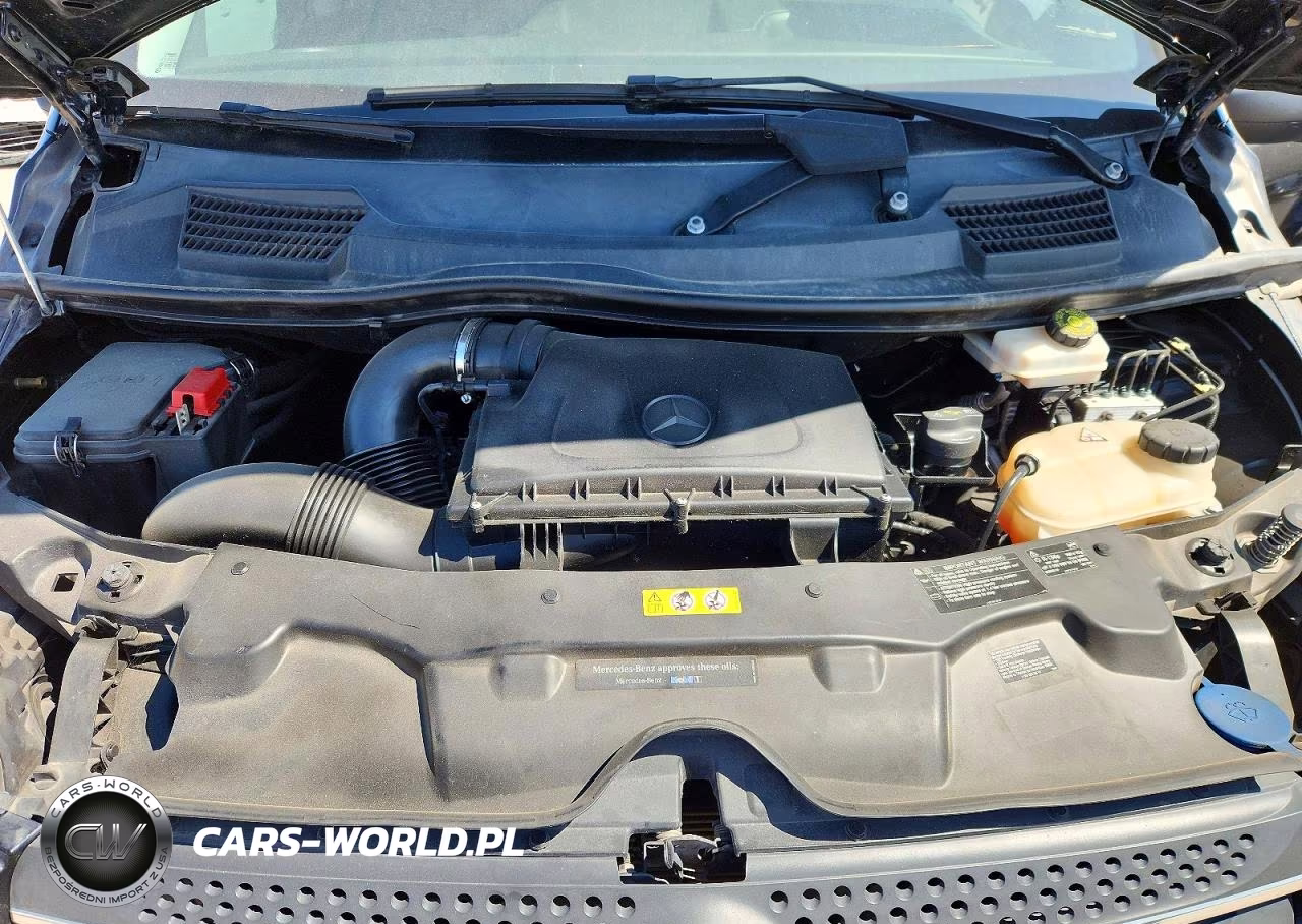 2018 Mercedes-Benz Metris VIN:WD4PG2EE9J3407024 - 12