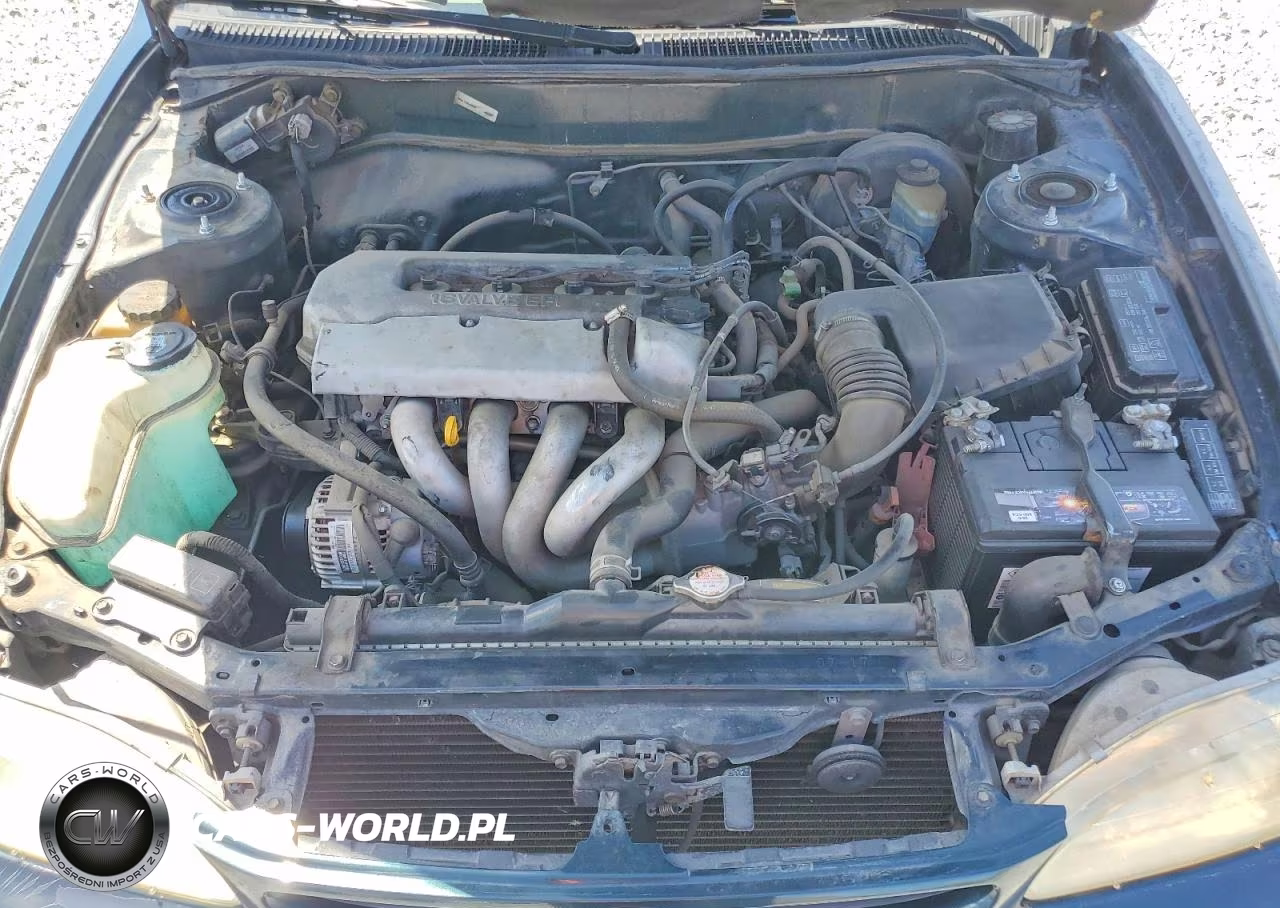 1999 Toyota Corolla Ve VIN:1NXBR12E7XZ298574 - 11