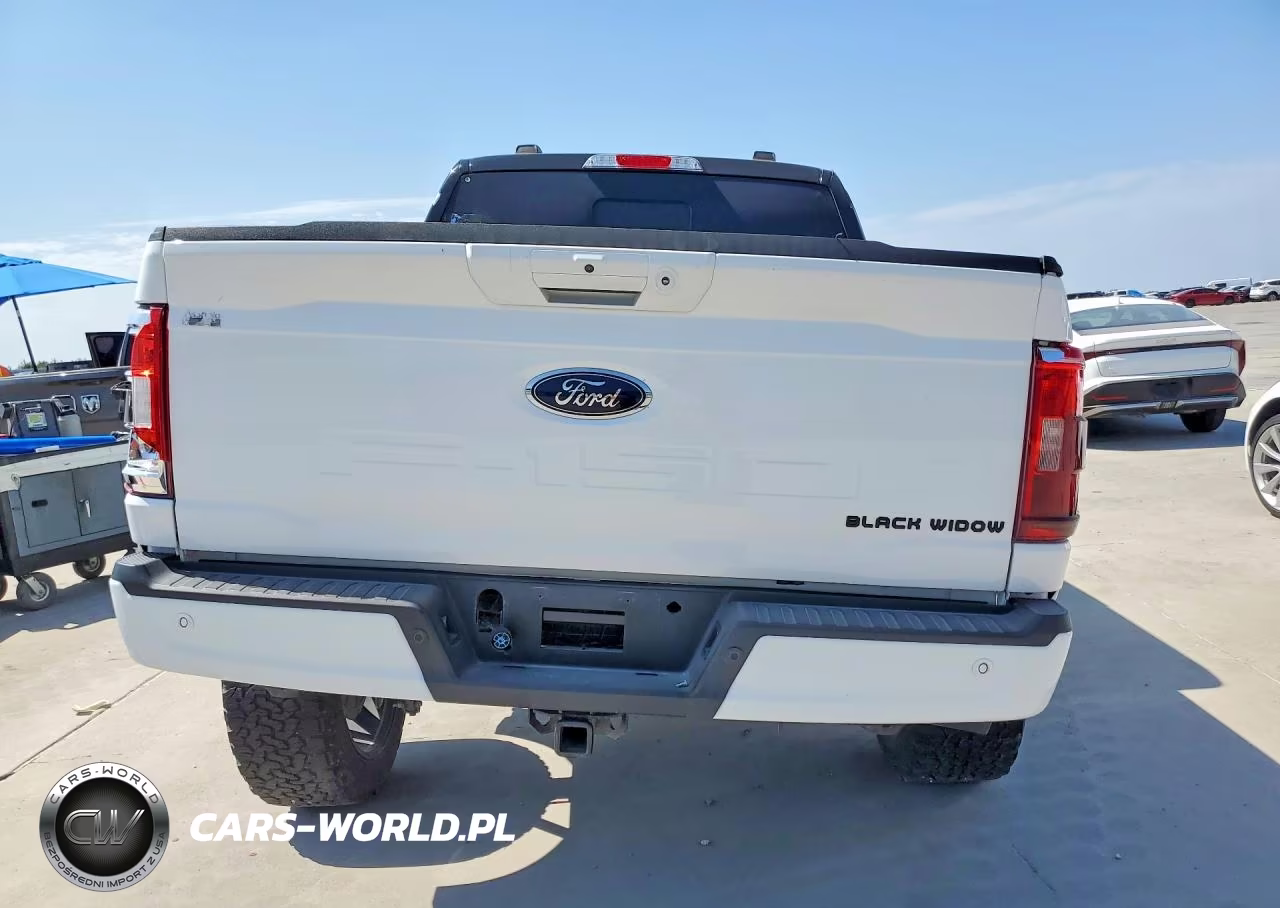 2023 Ford F150 Supercrew VIN:1FTFW1E50PKF33080 - 6