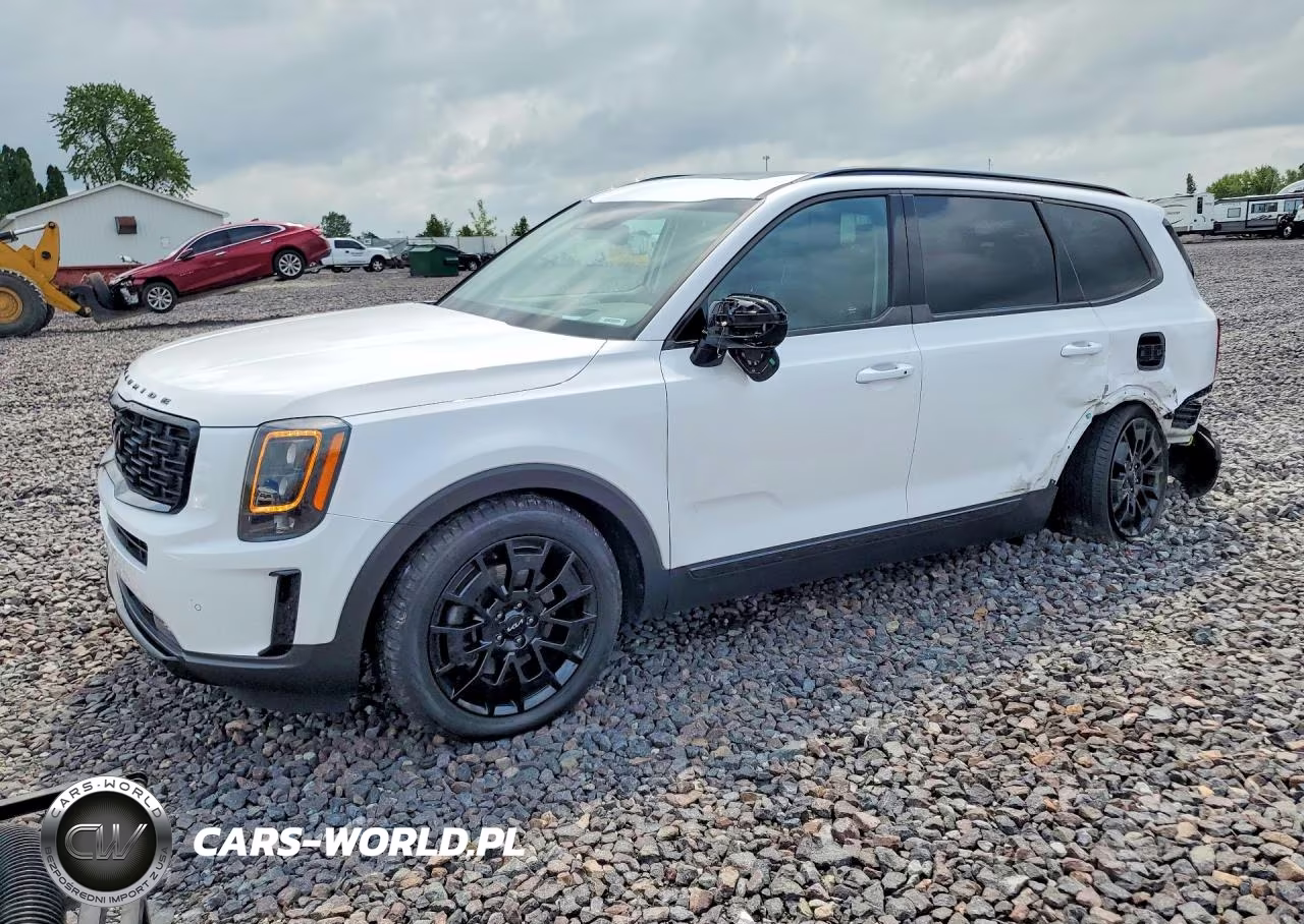 2022 Kia Telluride Sx VIN:5XYP5DHC8NG286154 - 1