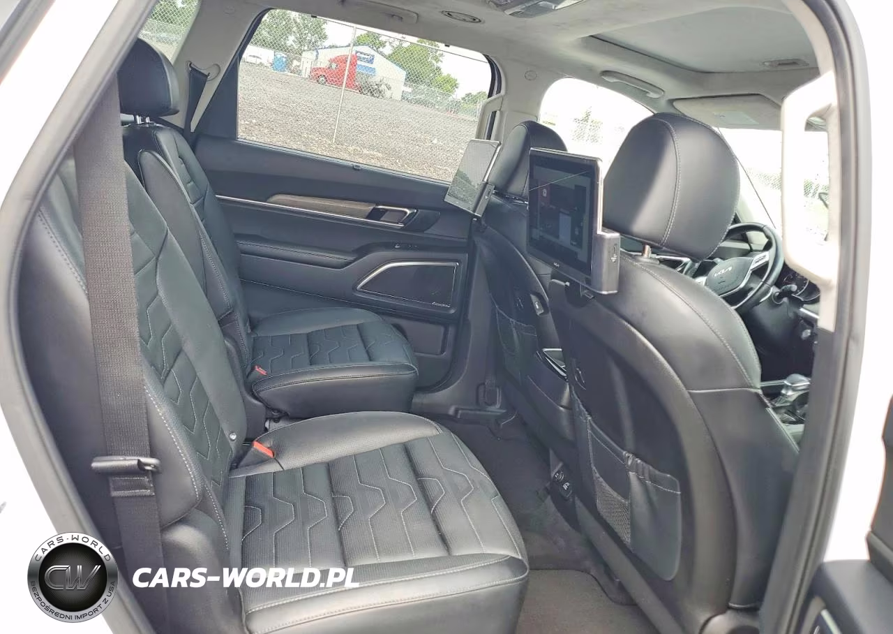 2022 Kia Telluride Sx VIN:5XYP5DHC8NG286154 - 11