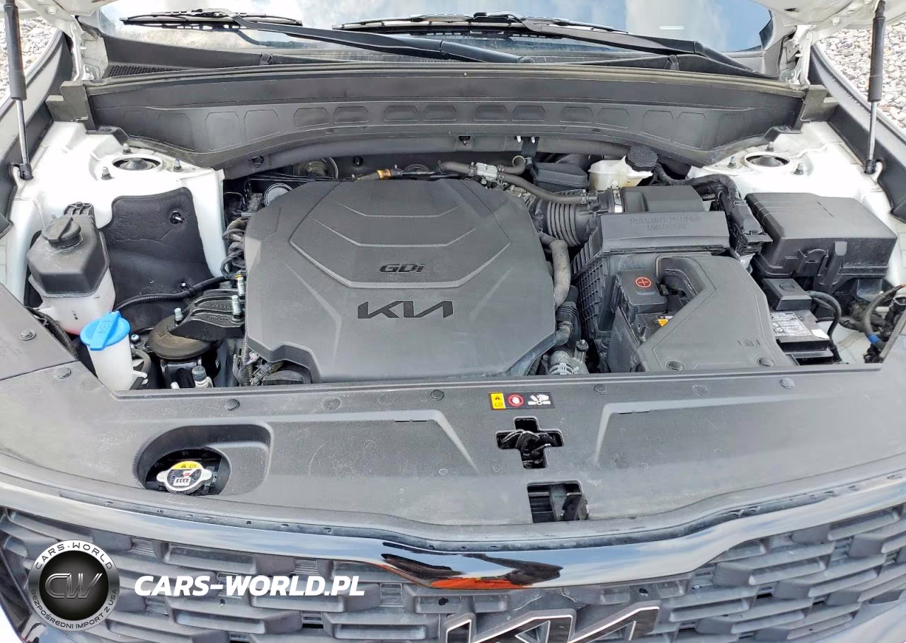 2022 Kia Telluride Sx VIN:5XYP5DHC8NG286154 - 12