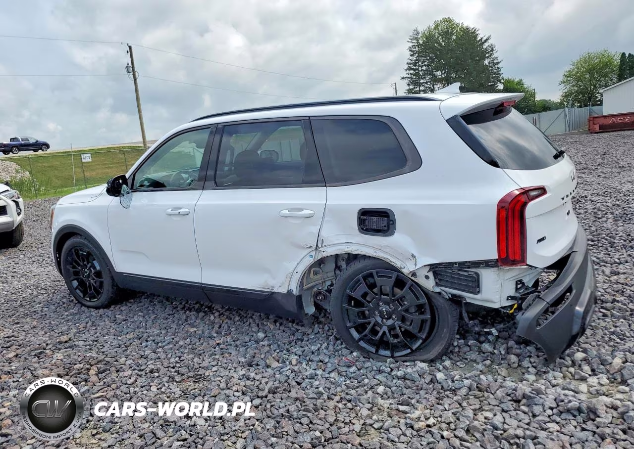2022 Kia Telluride Sx VIN:5XYP5DHC8NG286154 - 2