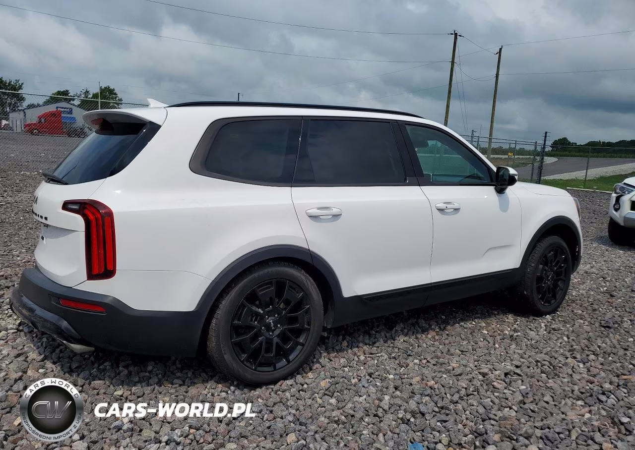 2022 Kia Telluride Sx VIN:5XYP5DHC8NG286154 - 3