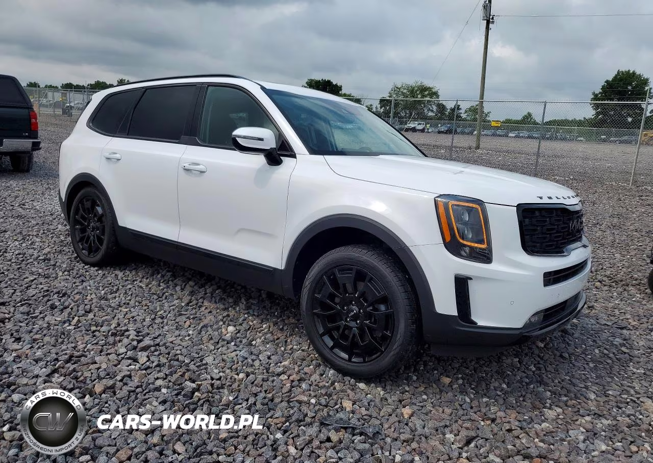 2022 Kia Telluride Sx VIN:5XYP5DHC8NG286154 - 4
