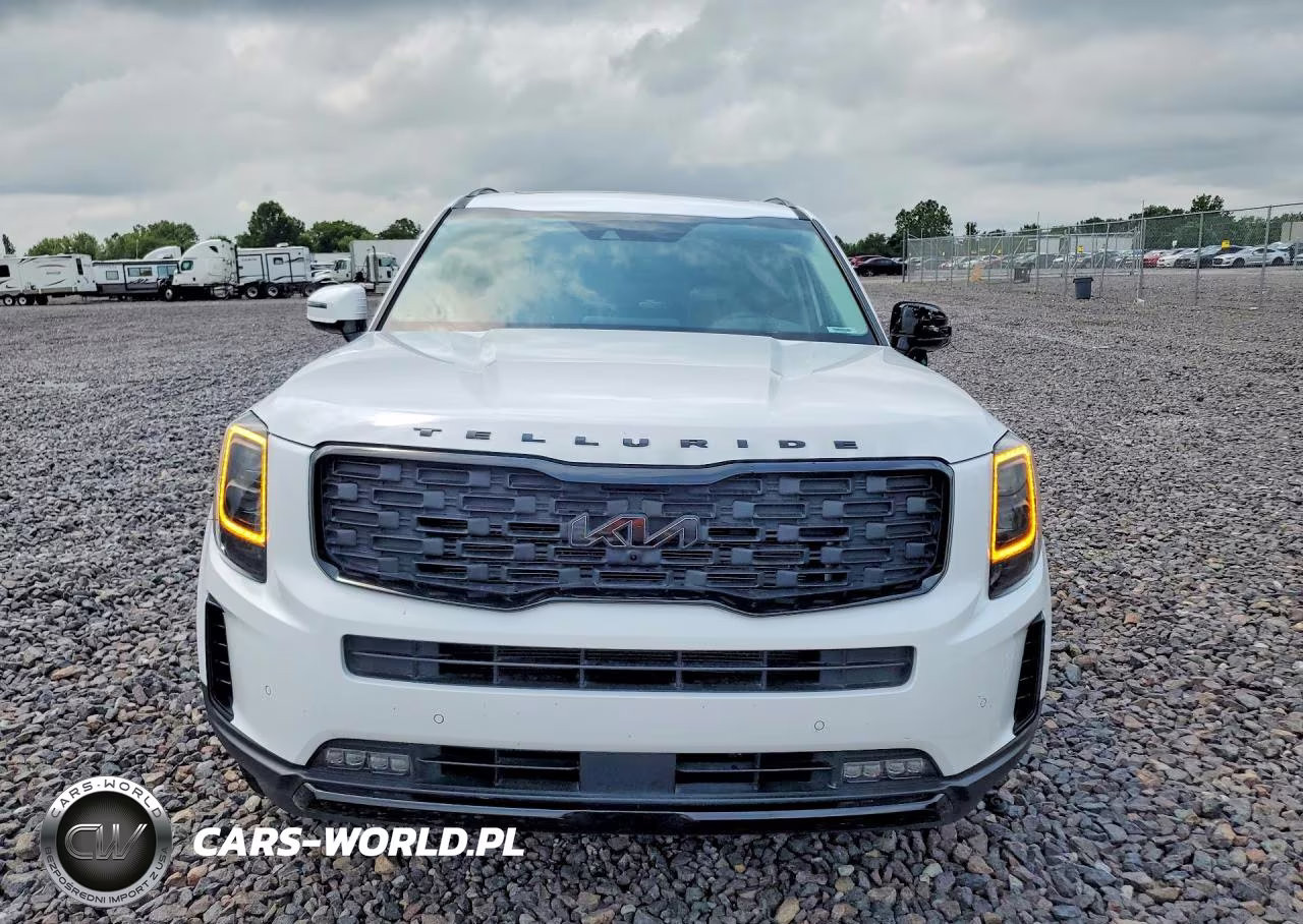 2022 Kia Telluride Sx VIN:5XYP5DHC8NG286154 - 5