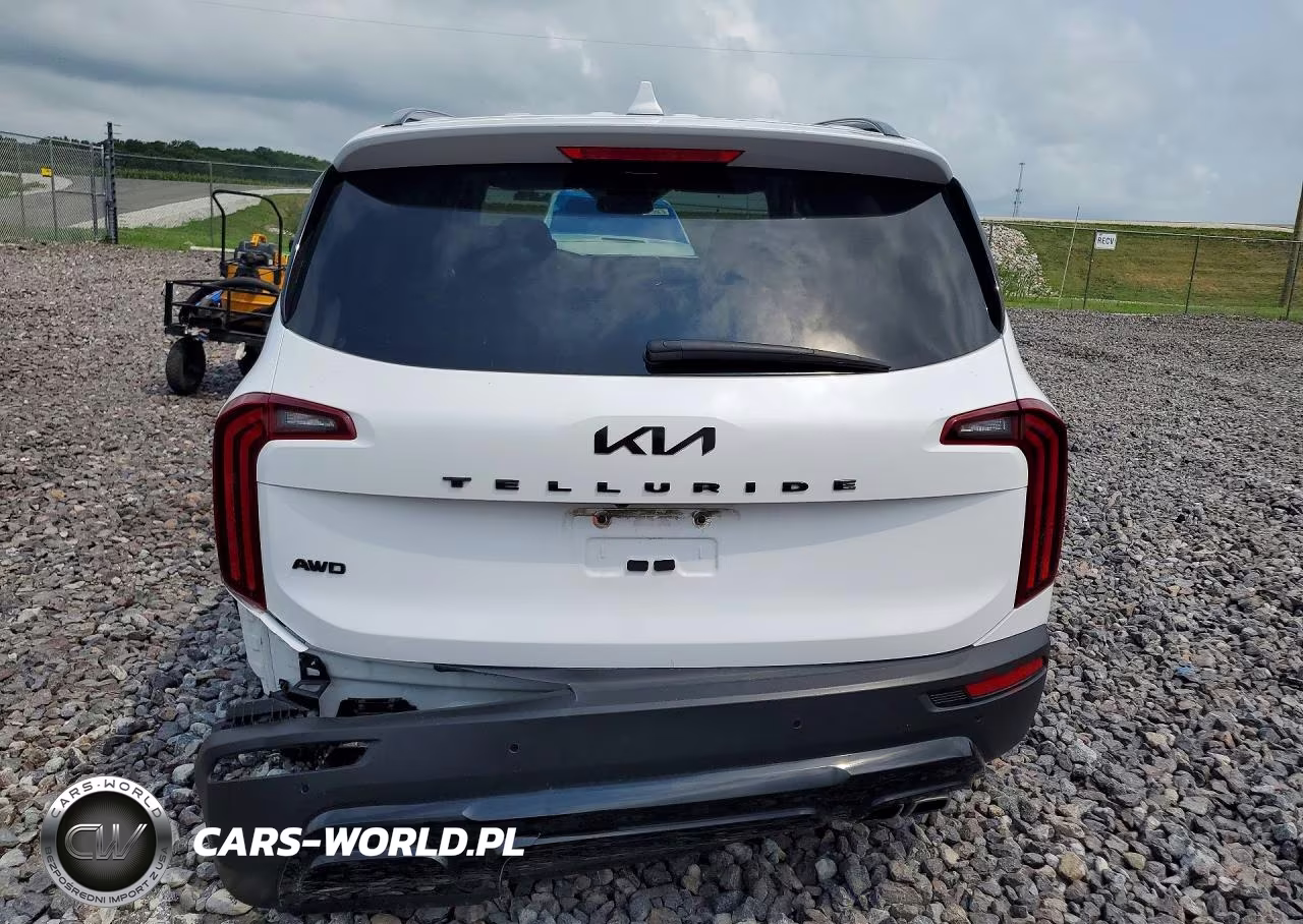 2022 Kia Telluride Sx VIN:5XYP5DHC8NG286154 - 6