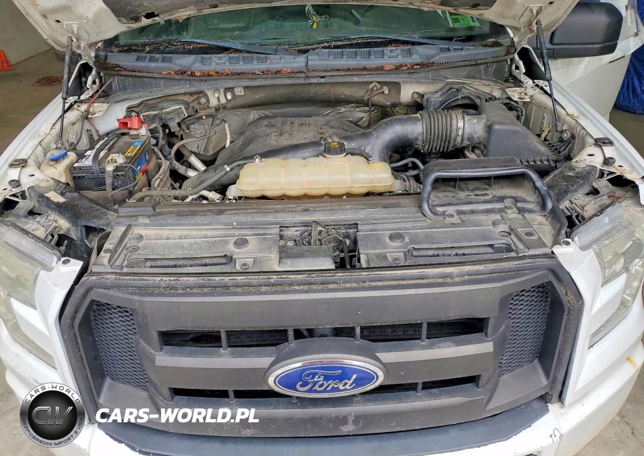 2016 Ford F150 Supercrew VIN:1FTEW1EG4GFB04045 - 11