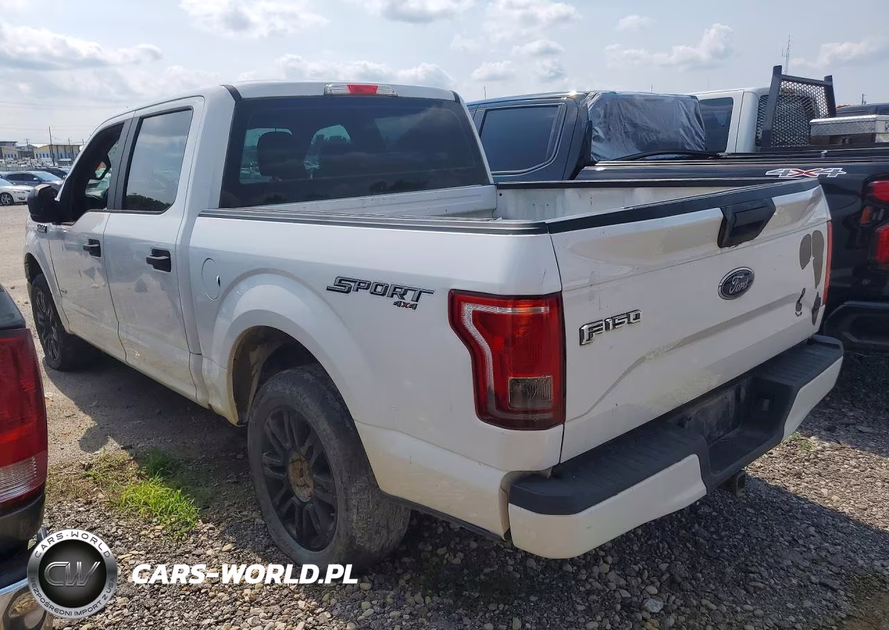 2016 Ford F150 Supercrew VIN:1FTEW1EG4GFB04045 - 2