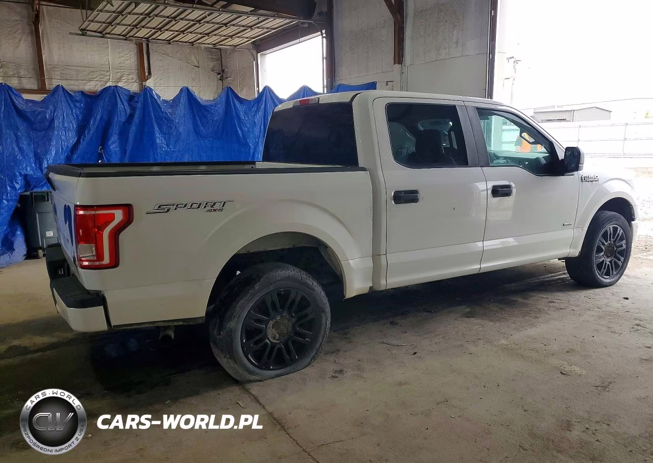 2016 Ford F150 Supercrew VIN:1FTEW1EG4GFB04045 - 3