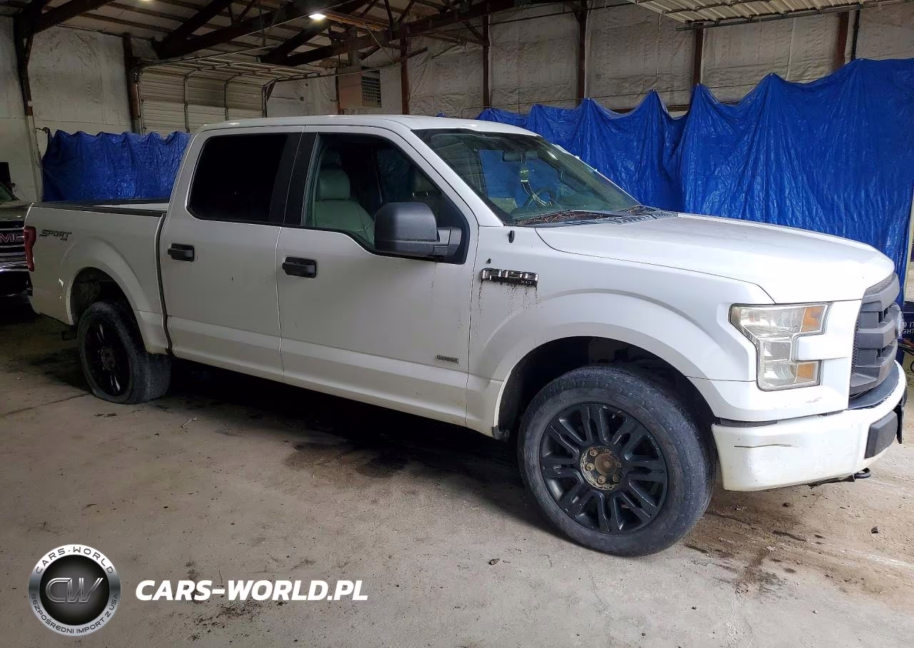 2016 Ford F150 Supercrew VIN:1FTEW1EG4GFB04045 - 4