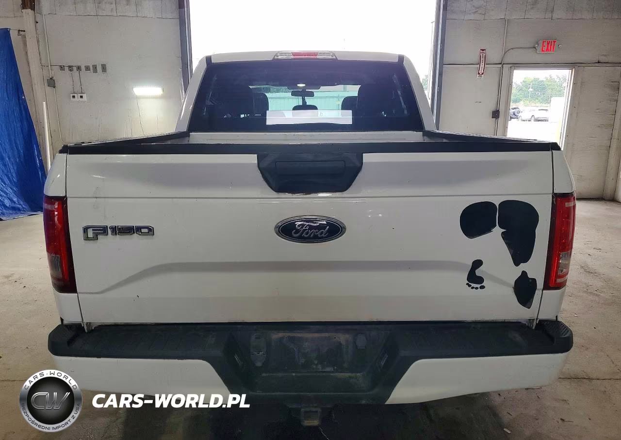 2016 Ford F150 Supercrew VIN:1FTEW1EG4GFB04045 - 6