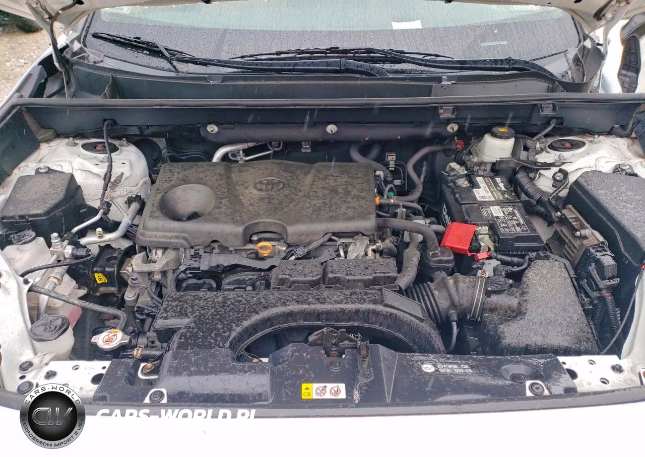 2020 Toyota Rav4 Xle Premium VIN:2T3A1RFV4LW095154 - 11