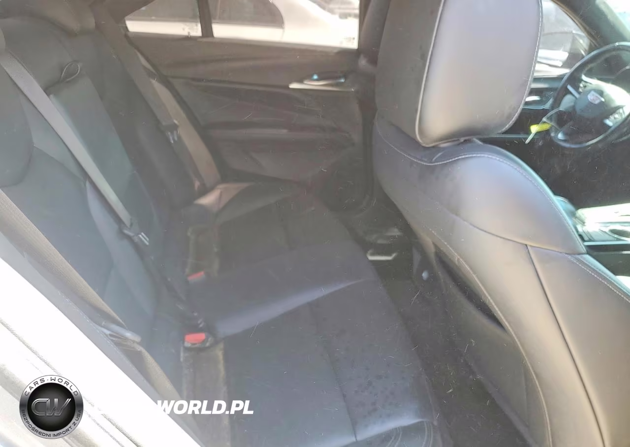 2020 Cadillac Ct4 Luxury VIN:1G6DJ5RK1L0149301 - 10