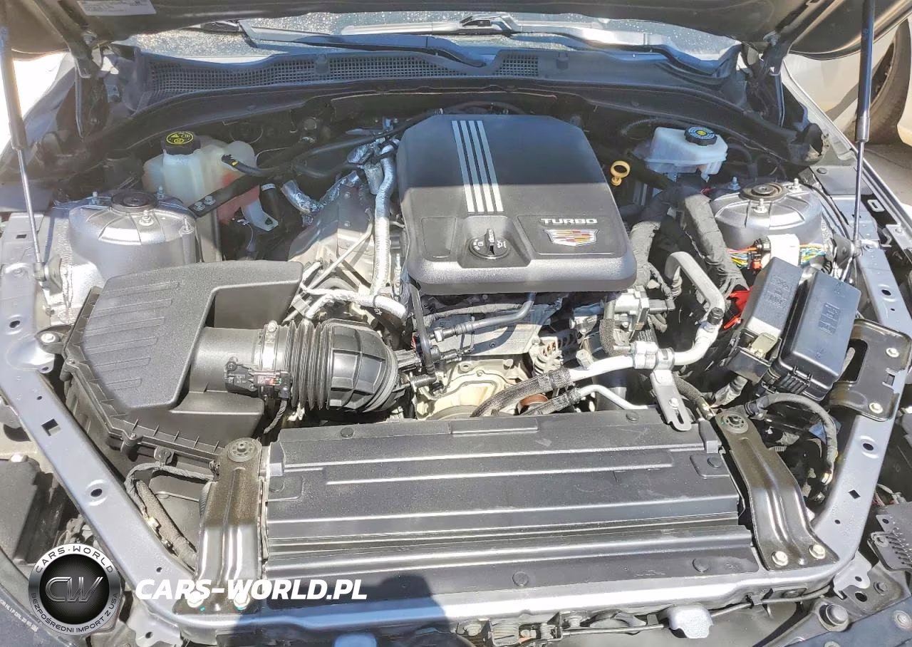 2020 Cadillac Ct4 Luxury VIN:1G6DJ5RK1L0149301 - 11
