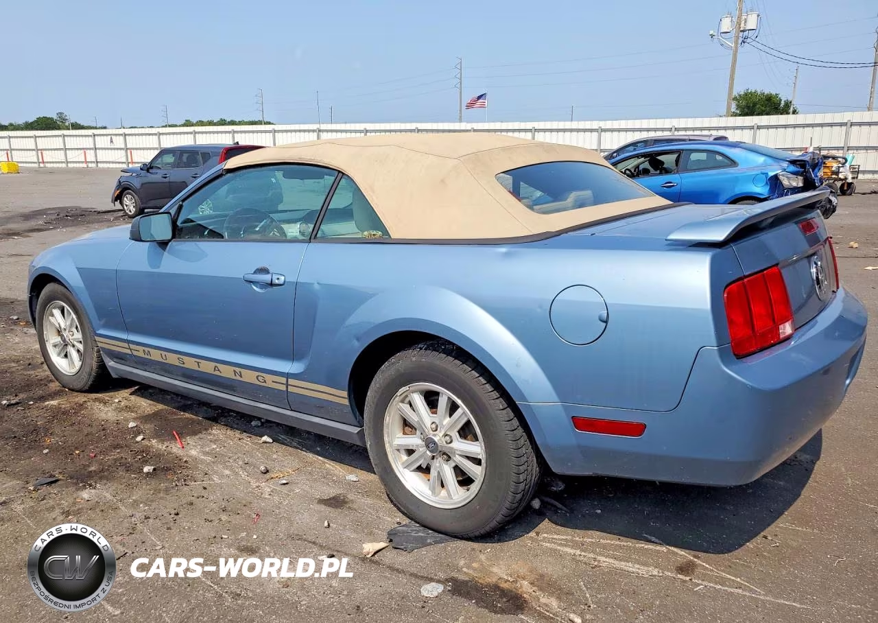 2006 Ford Mustang VIN:1ZVFT84N365107140 - 2