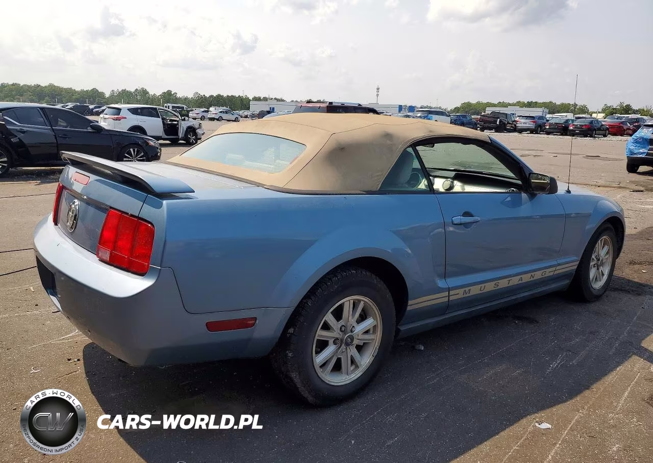 2006 Ford Mustang VIN:1ZVFT84N365107140 - 3