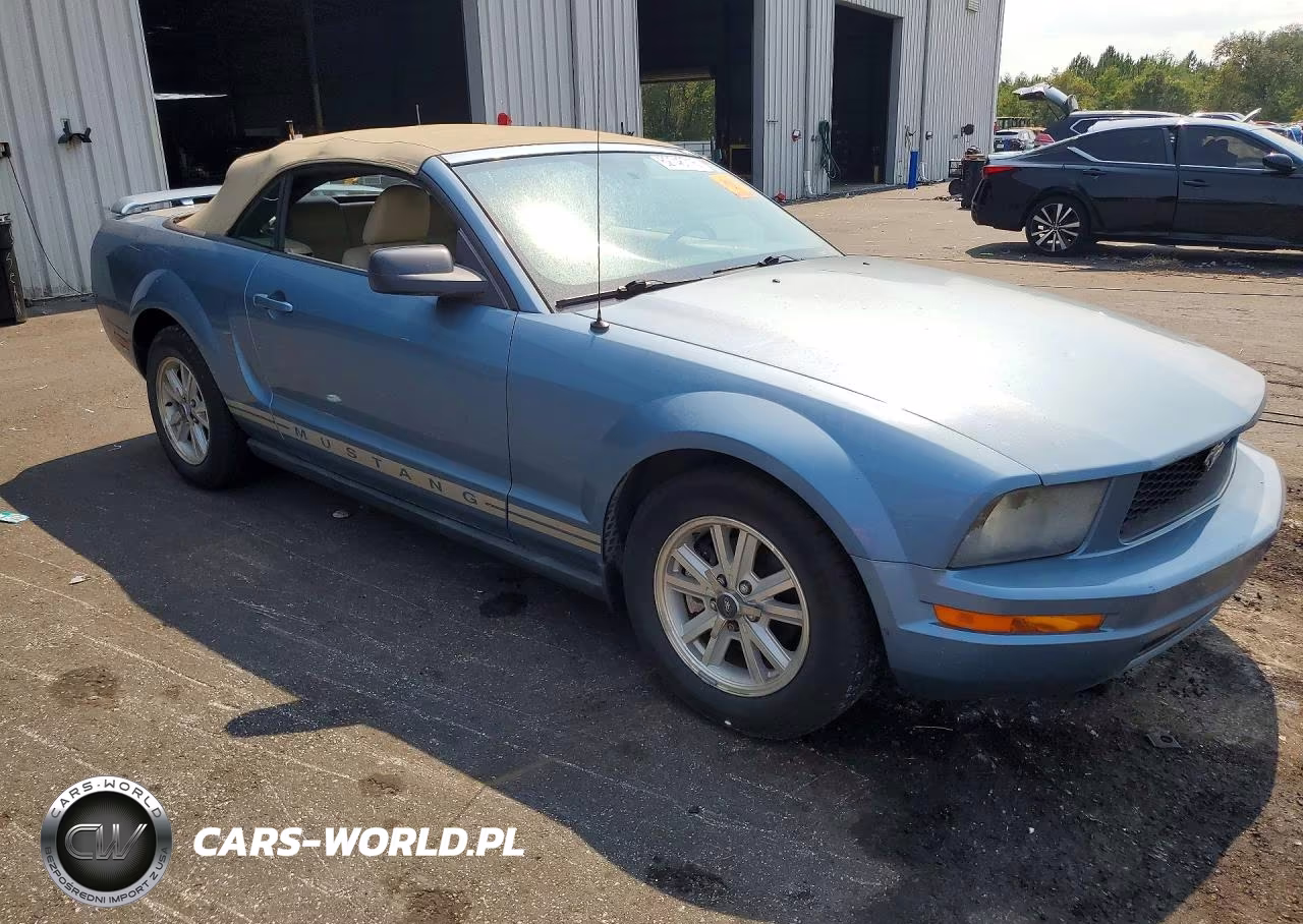 2006 Ford Mustang VIN:1ZVFT84N365107140 - 4
