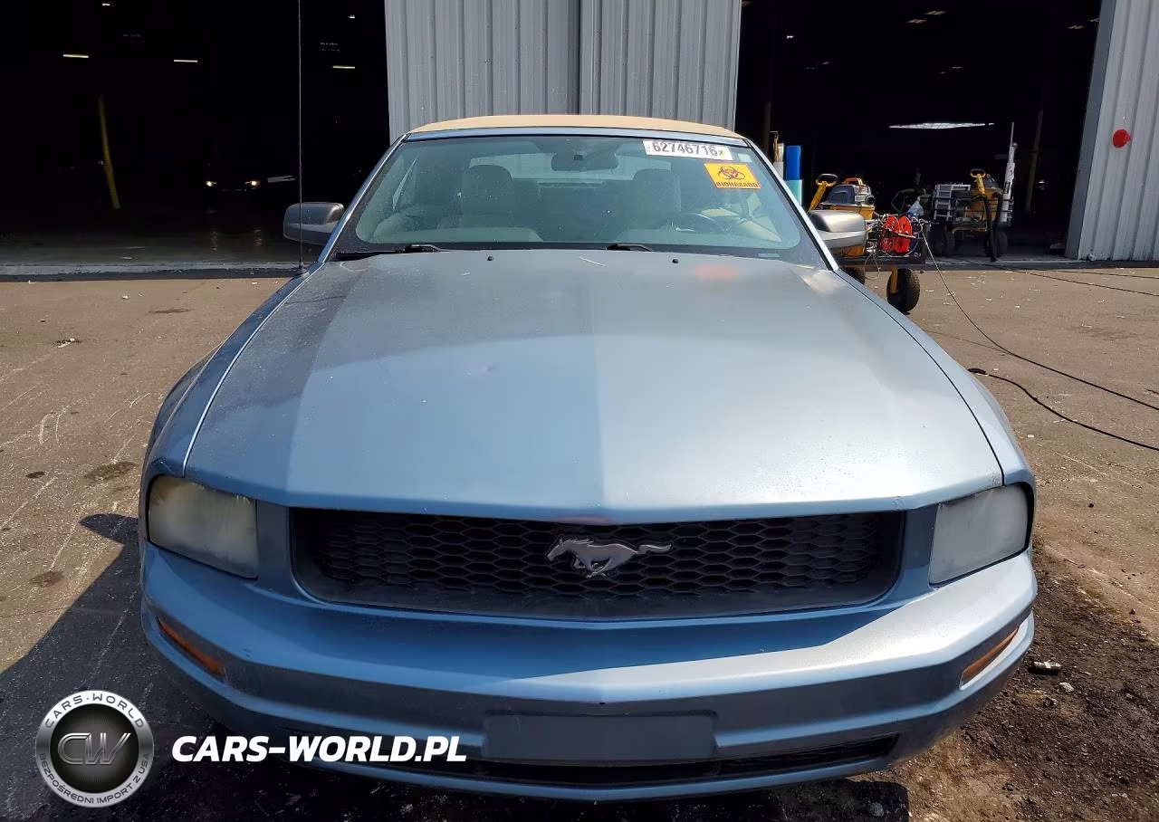 2006 Ford Mustang VIN:1ZVFT84N365107140 - 5