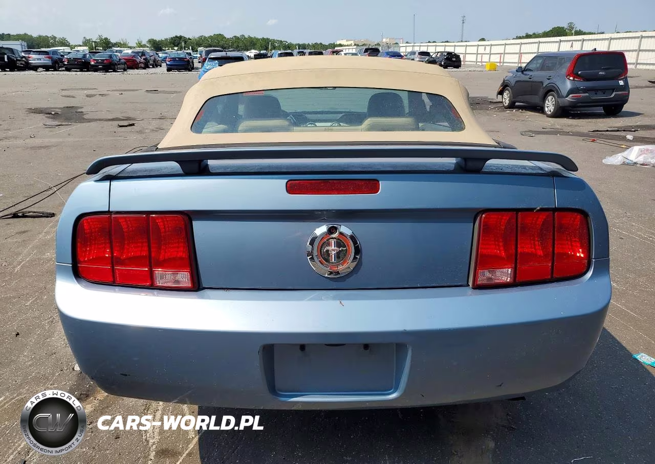 2006 Ford Mustang VIN:1ZVFT84N365107140 - 6