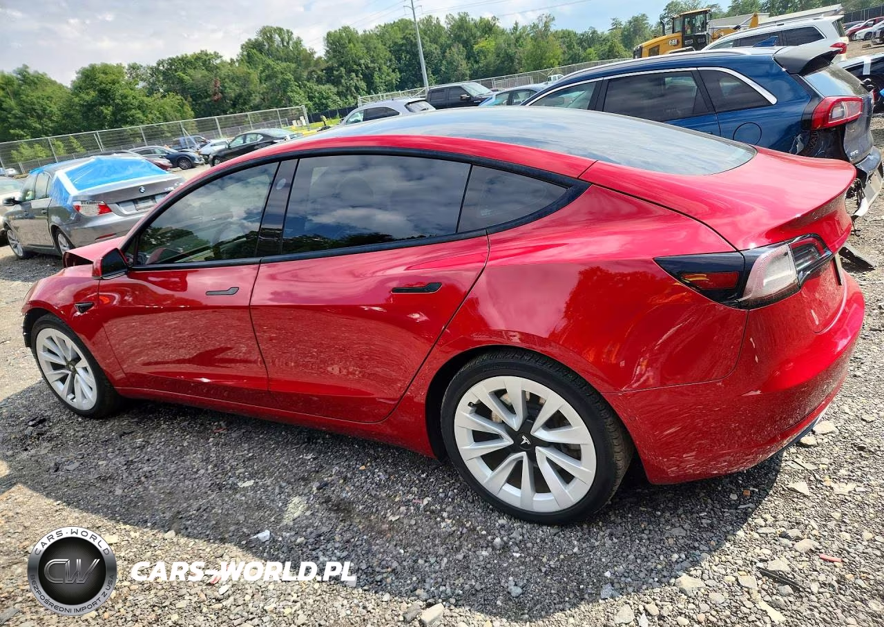 2021 Tesla Model 3 VIN:5YJ3E1EA2MF029268 - 2