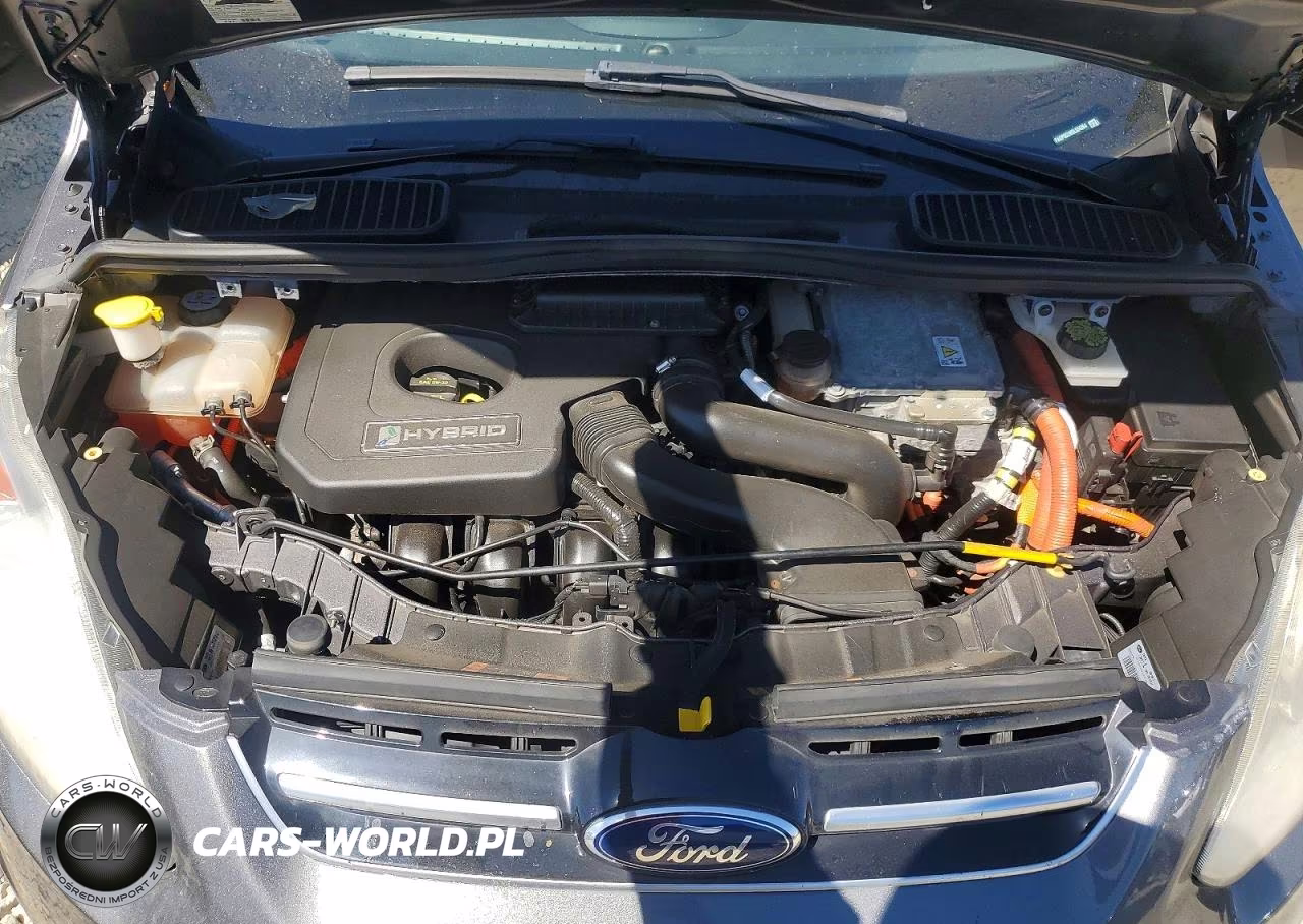 2013 Ford C-Max Premium VIN:1FADP5CU6DL534364 - 11