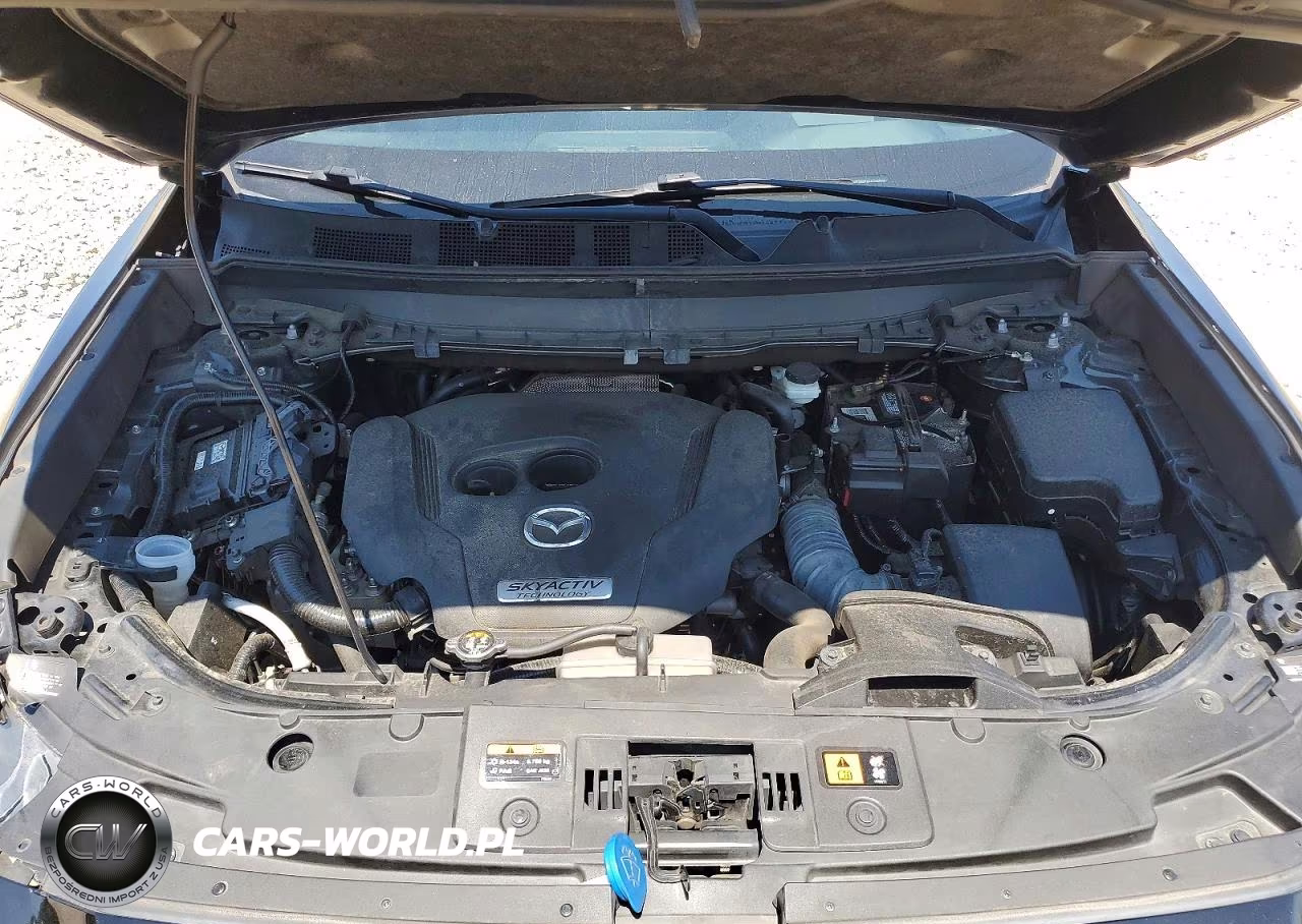 2019 Mazda Cx-9 Grand Touring VIN:JM3TCADY8K0329579 - 12
