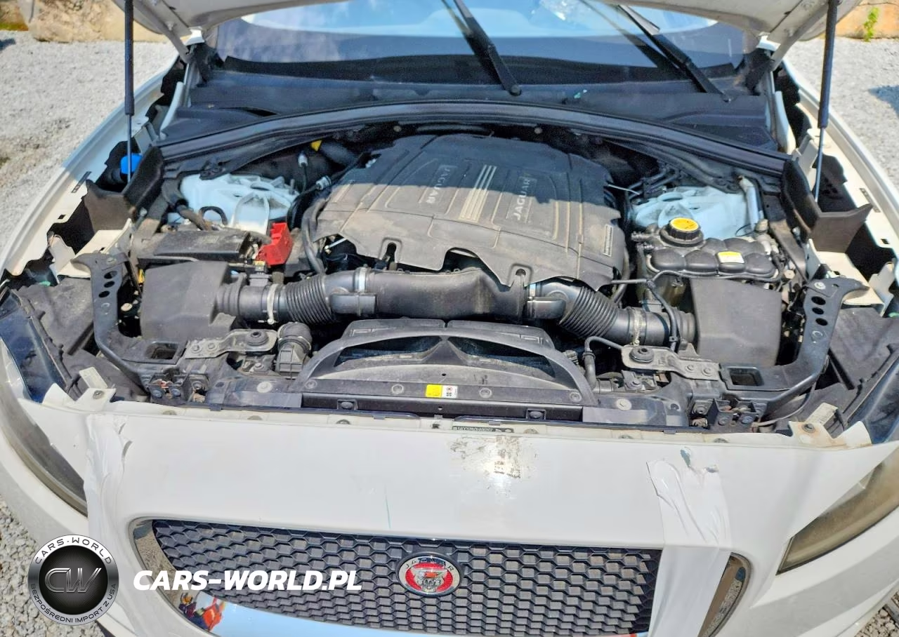 2017 Jaguar F-Pace VIN:SADCS2BV3HA062837 - 12