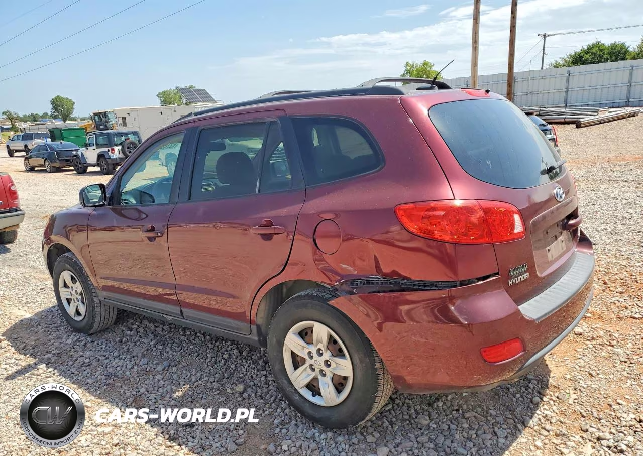 2009 Hyundai Santa Fe Gls VIN:5NMSG13D29H298024 - 2