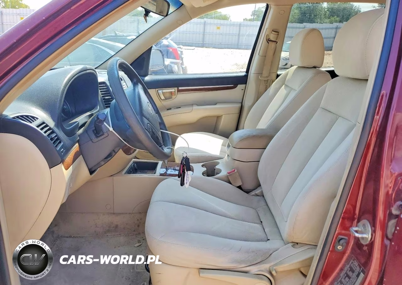 2009 Hyundai Santa Fe Gls VIN:5NMSG13D29H298024 - 7