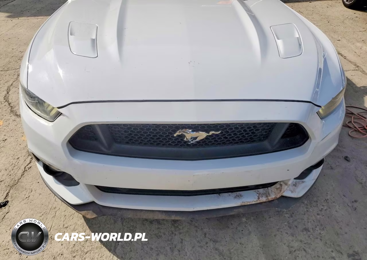 2016 Ford Mustang Gt VIN:1FA6P8CF3G5264353 - 11