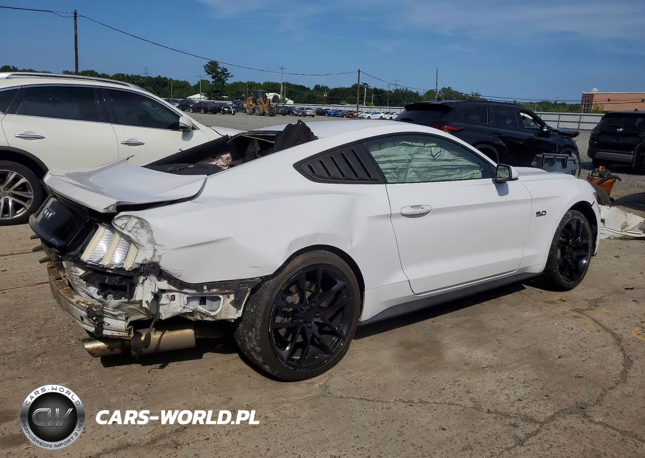 2016 Ford Mustang Gt VIN:1FA6P8CF3G5264353 - 3