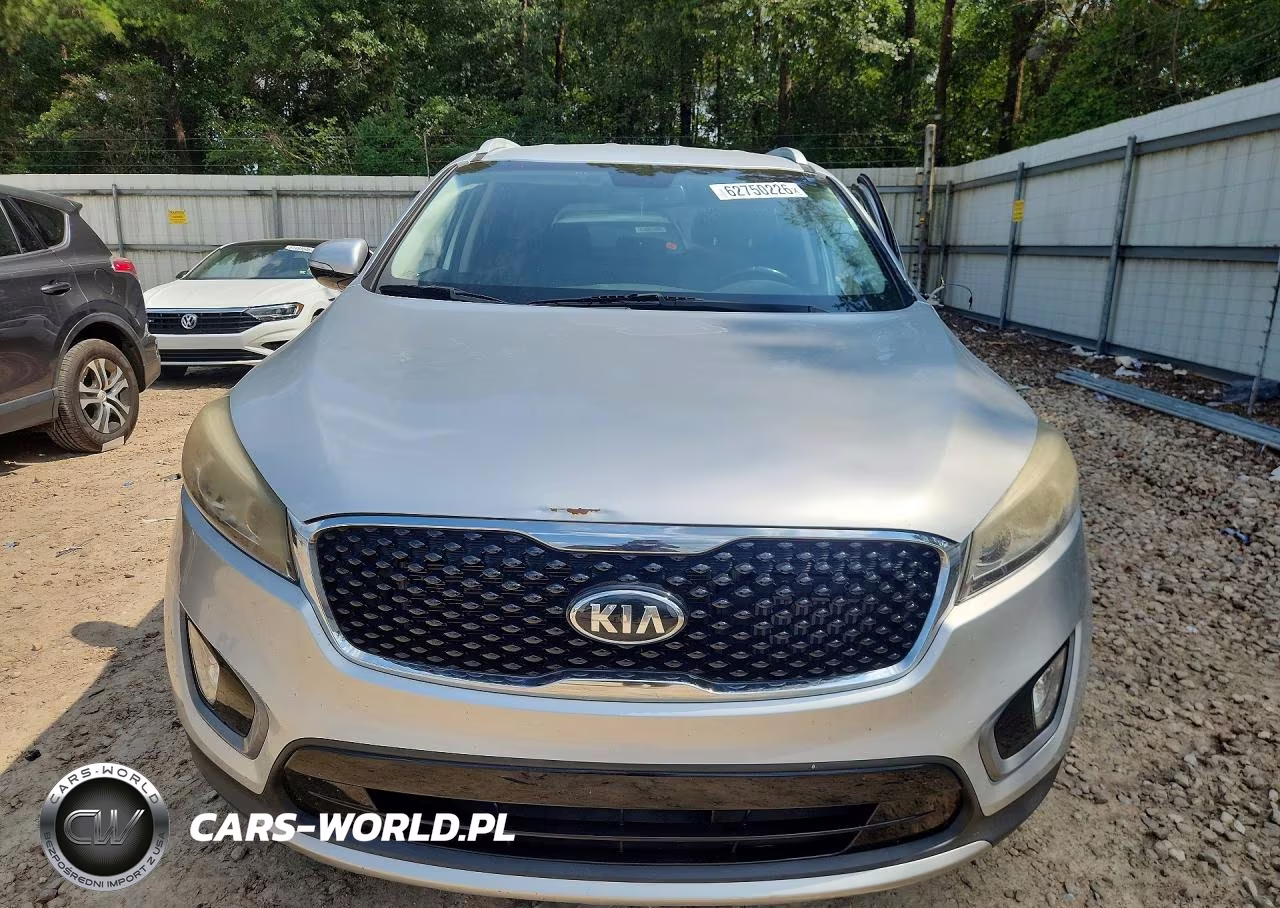 2016 Kia Sorento Ex VIN:5XYPH4A1XGG007645 - 5