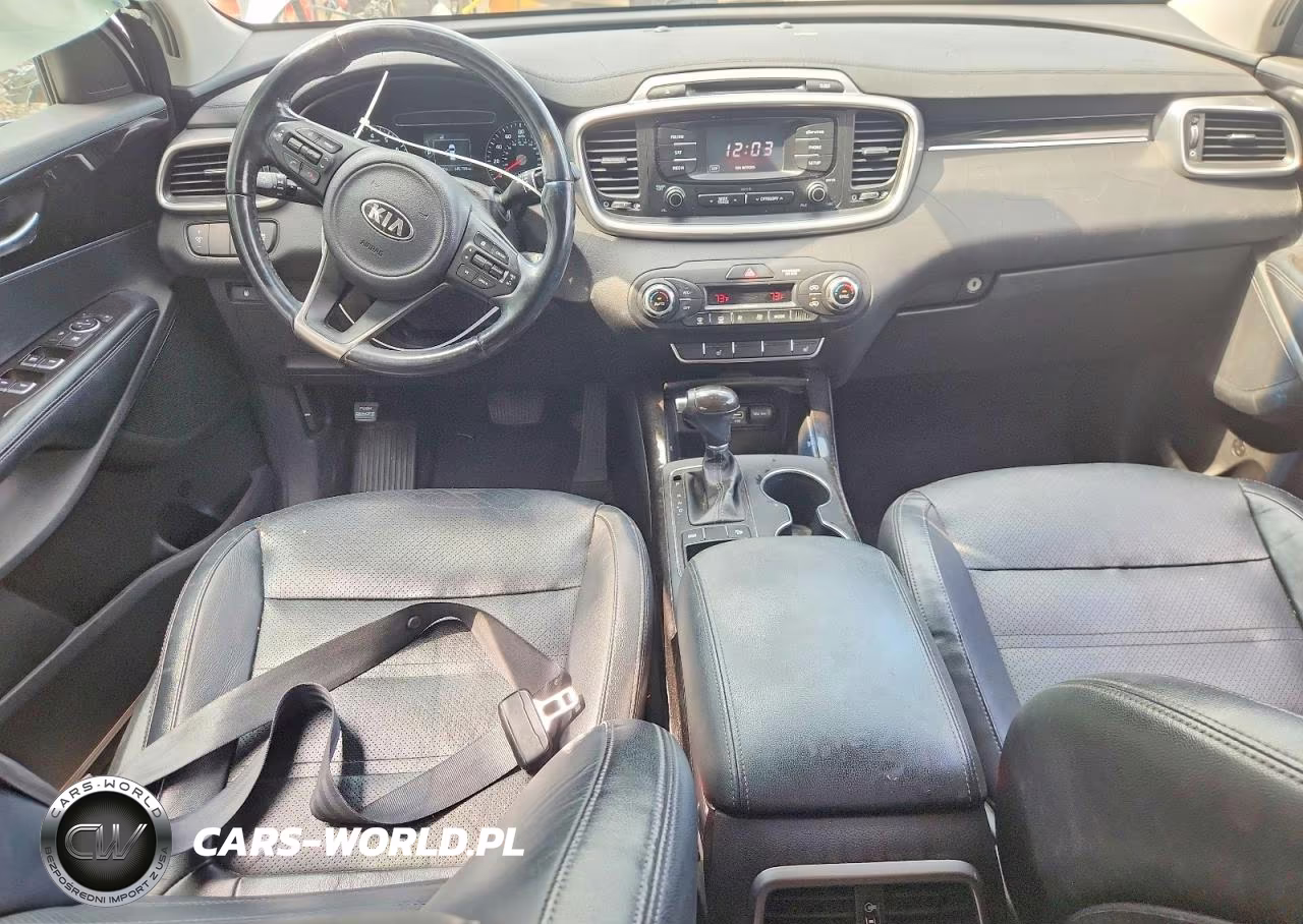 2016 Kia Sorento Ex VIN:5XYPH4A1XGG007645 - 8