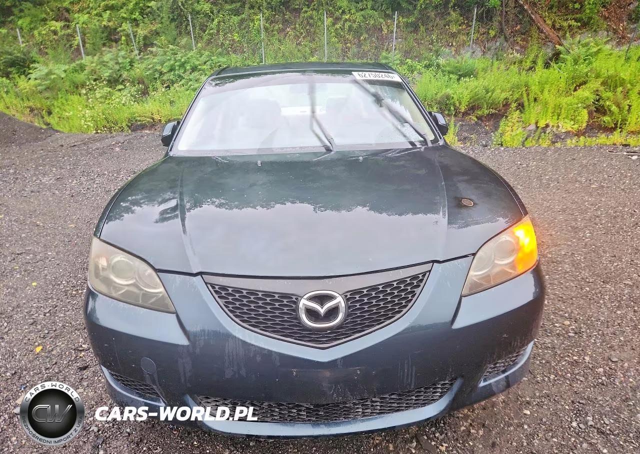 2004 Mazda 3 I VIN:JM1BK12F341134253 - 5