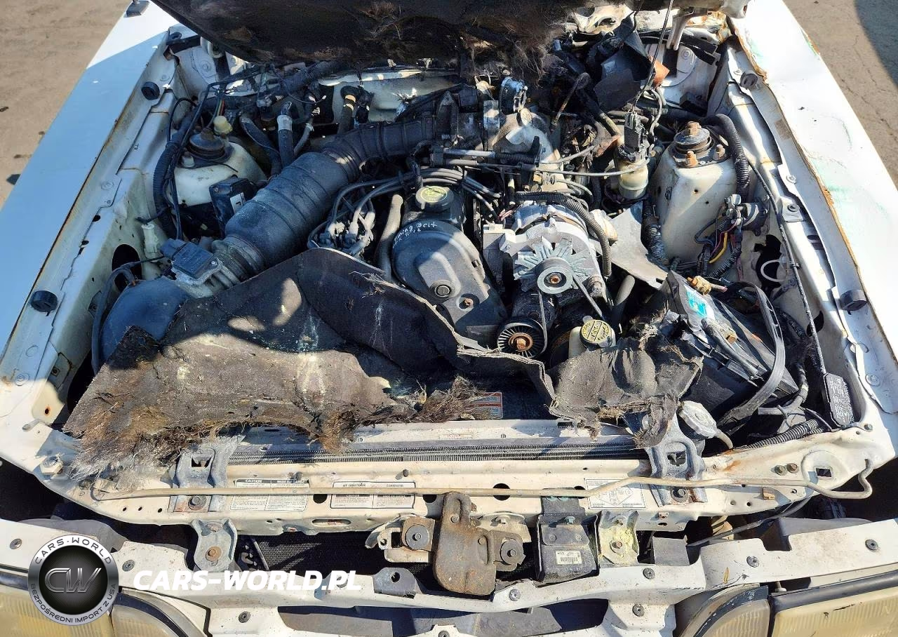 1991 Ford Mustang Lx VIN:1FACP44M3MF162422 - 11