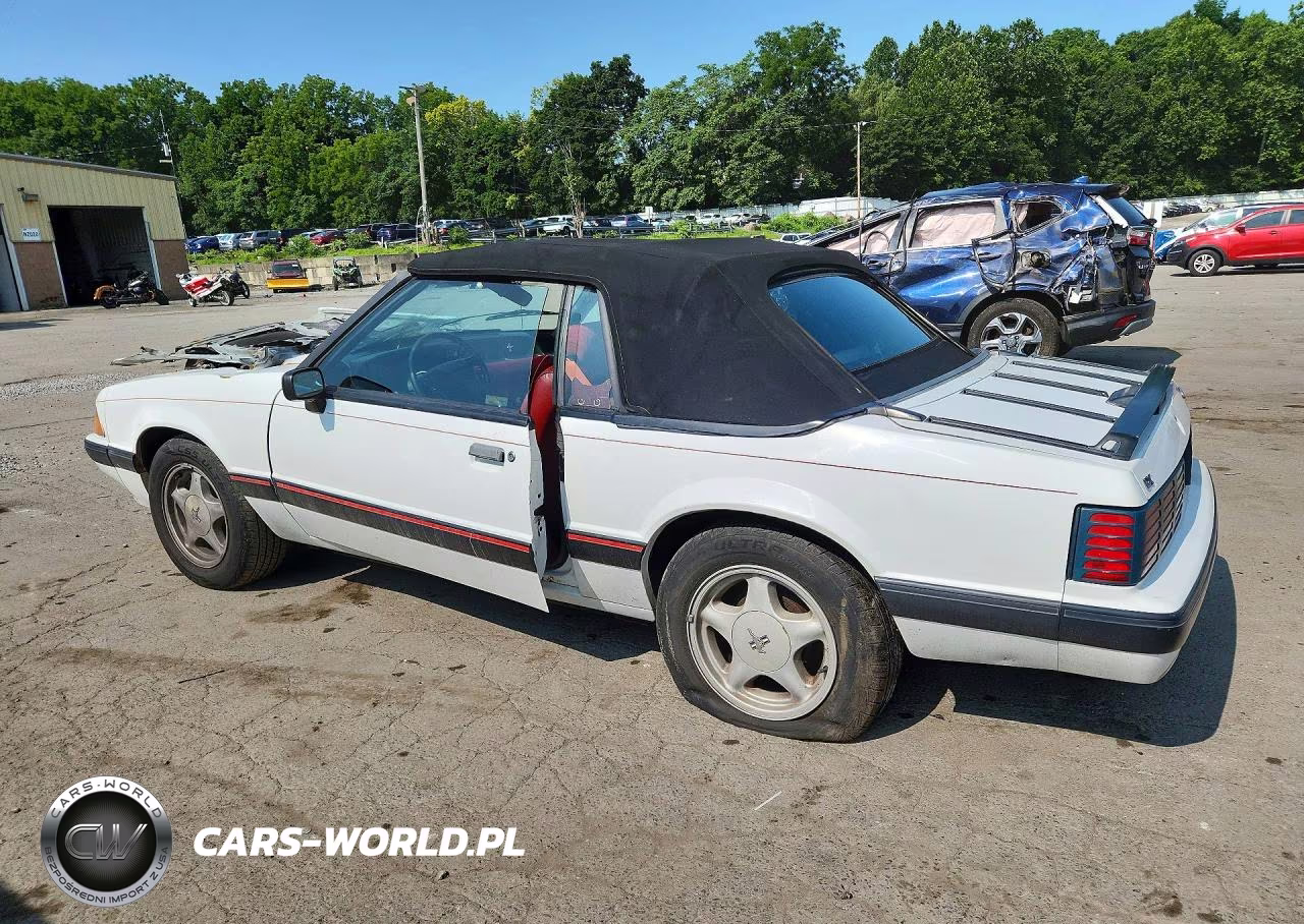 1991 Ford Mustang Lx VIN:1FACP44M3MF162422 - 2