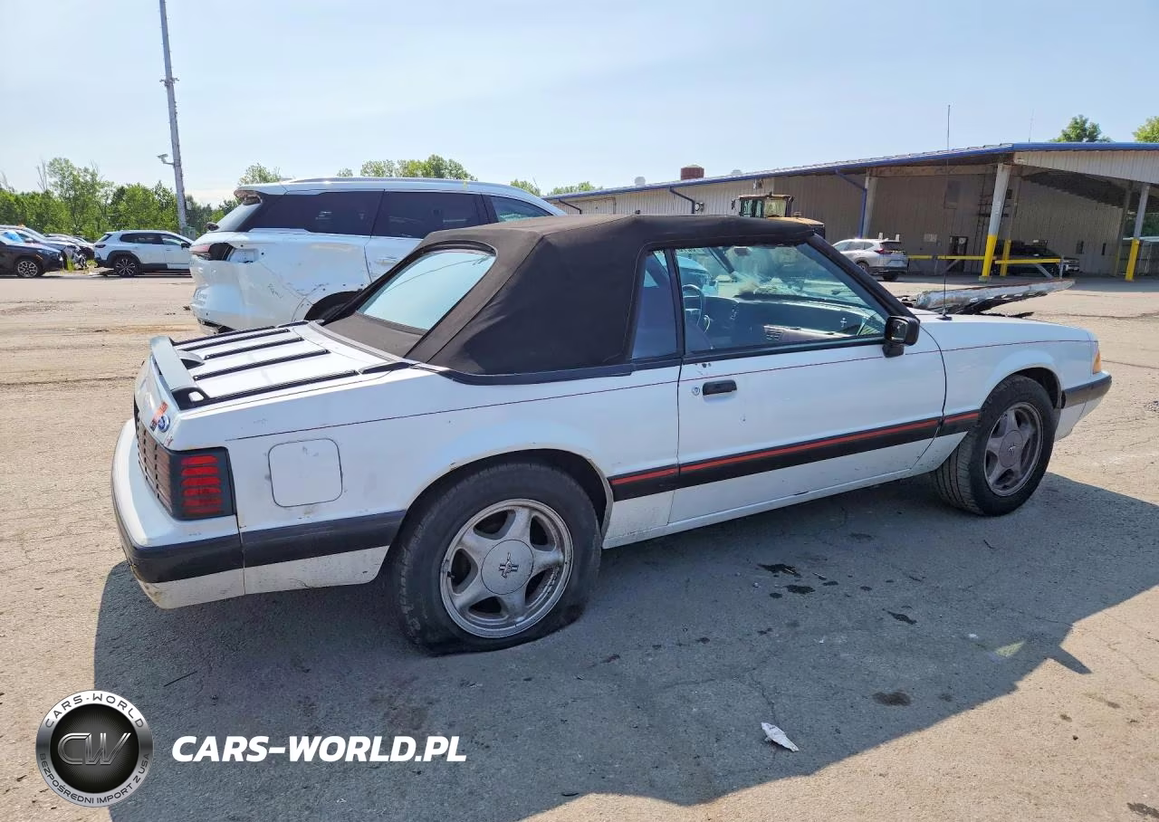 1991 Ford Mustang Lx VIN:1FACP44M3MF162422 - 3