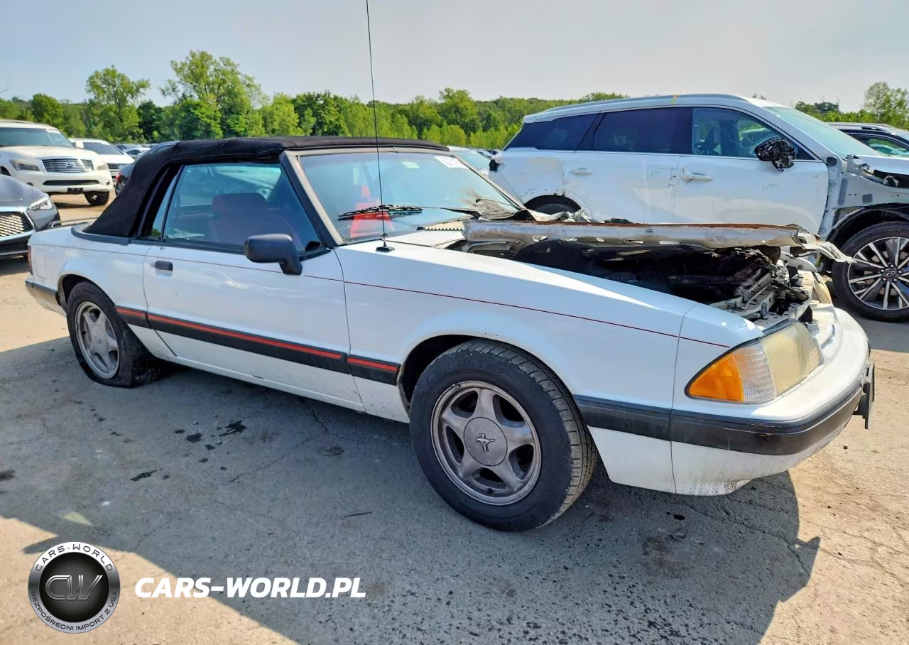 1991 Ford Mustang Lx VIN:1FACP44M3MF162422 - 4