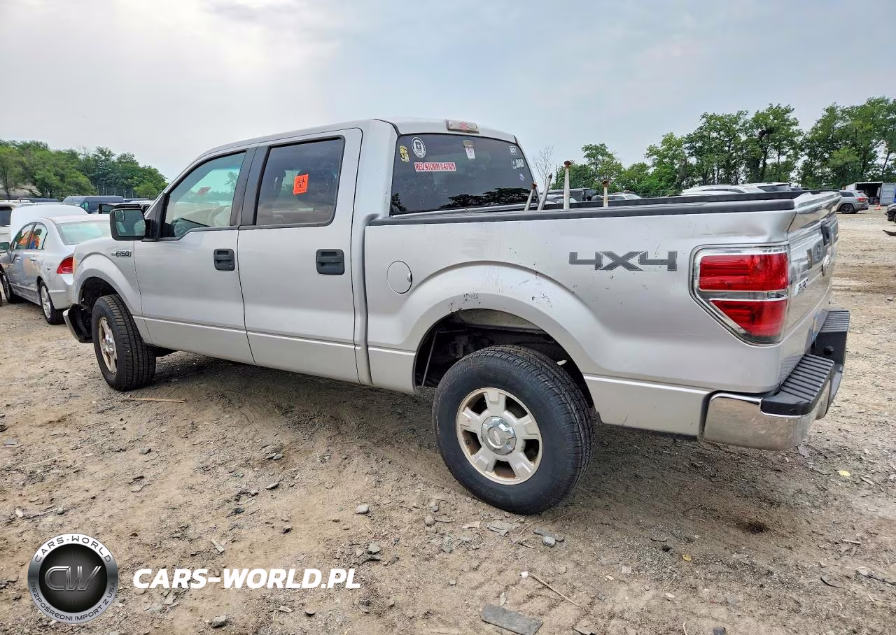 2011 Ford F150 Supercrew VIN:1FTFW1EF1BFB03858 - 2