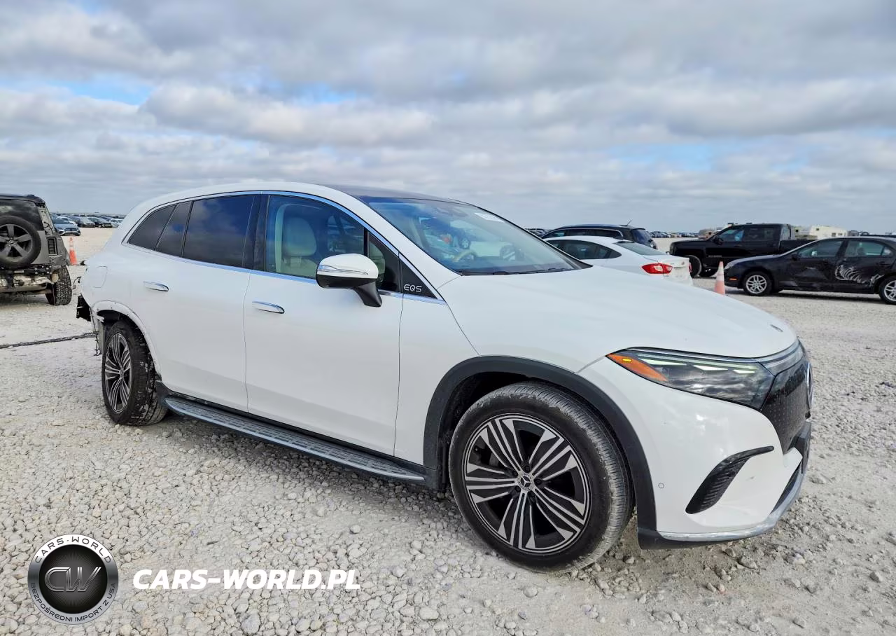 2023 Mercedes-Benz Eqs Suv 450+ VIN:4JGDM2DB0PA009150 - 4